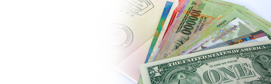 Foreign Currency Cash - Get Cash in 20 Currencies for your Travels 